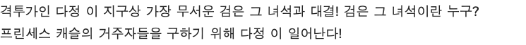 격투가인 다정 이 지구상 가장 무서운 검은 그 녀석과 대결! 검은 그 녀석이란 누구? 프린세스 캐슬의 거주자들을 구하기 위해 다정 이 일어난다!